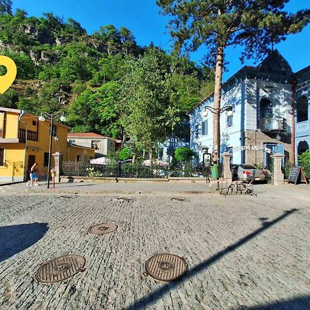 Alongside Park Borjomi Hotel ภายนอก รูปภาพ